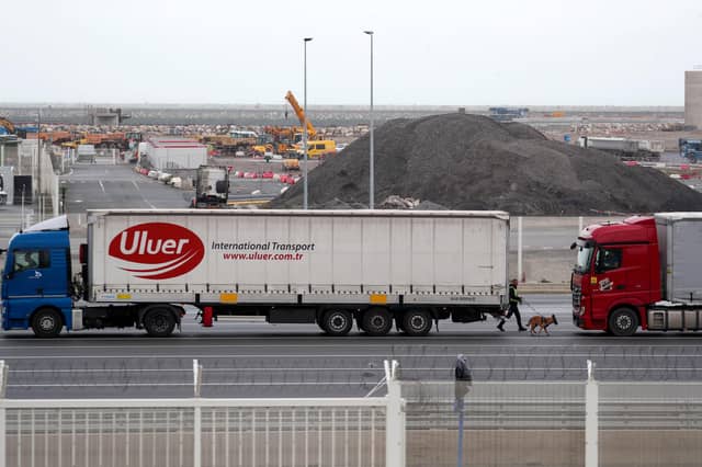 The French customs boss warned many European businesses are not ready for the end of the transition period.
