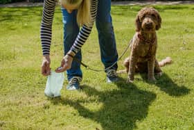 A quick check of your dog's leavings can flag up health problems early.