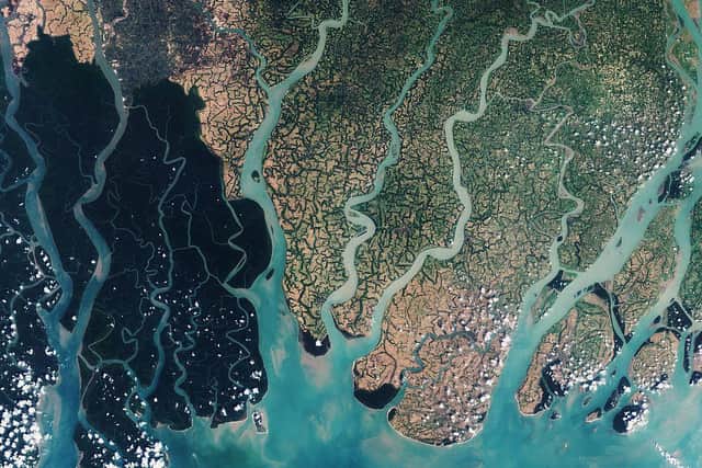 An aerial view of the Sundarbans, which incorporates some 10,000sqkm, consisting of mangrove and swamp forests. Picture: European Space Agency