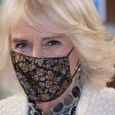 Camilla, Duchess of Cornwall. Picture: Eddie Mulholland-WPA Pool/Getty Images