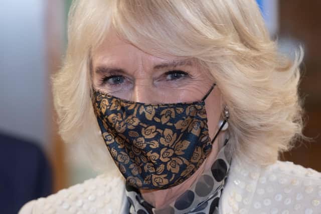 Camilla, Duchess of Cornwall. Picture: Eddie Mulholland-WPA Pool/Getty Images