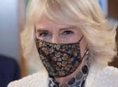 Camilla, Duchess of Cornwall. Picture: Eddie Mulholland-WPA Pool/Getty Images