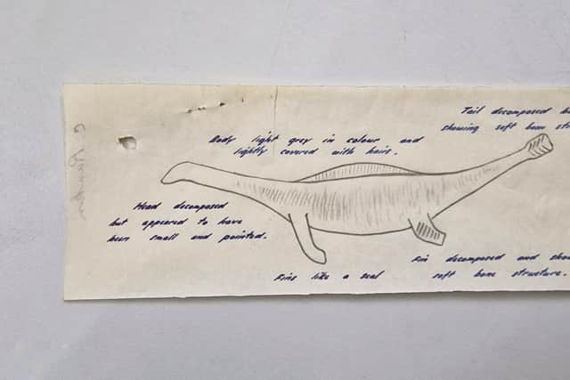 A sketch held in the files which describes a creature with a decomposing head and a fin like a seal's. PIC: NMS.