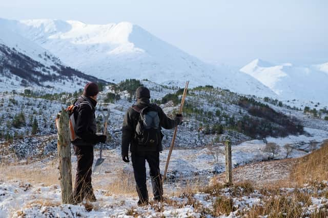 Competition for the globally prestigious UN World Restoration Flagship status is fierce -- Affric Highlands, led by charity Trees for Life, will be competing against more than 400 nominees expected from around the world, with a final shortlist of 10 due to be announced later this month. Picture: Trees for Life