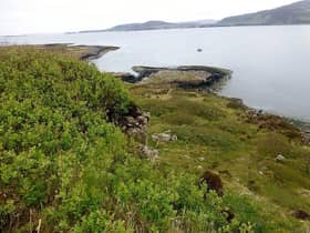 Little Colonsay: To mark the 20th anniversary of the first book in the series of 12, Cowell has written a new short story titled How To Train Your Hogfly, which will be published in the special anniversary edition of How To Train Your Dragon on June 8.