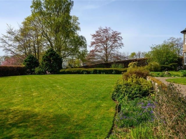 Garden.