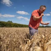 The war in Ukraine will have serious knock-on effects for wheat production  (Picture: Dan Kitwood/Getty Images)