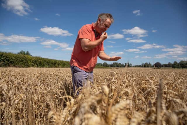 The war in Ukraine will have serious knock-on effects for wheat production (Picture: Dan Kitwood/Getty Images)