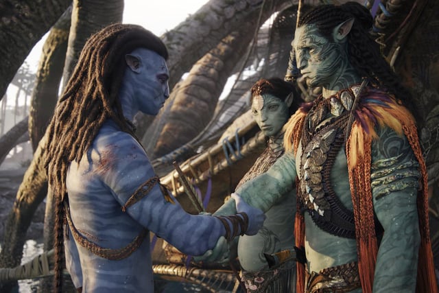 James Cameron's 'Avatar: The Way of the Water' is the sequel to the most successful film in the history of cinema and has already made a remarkable $2 billion at the box office. It is 33/1 to win Best Picture at the Academy Awards. Starring Zoe Saldana, Sam Worthington, Kate Winslet and Sigourney Weaver, it takes us back to the planet of Pandora, which is facing a new threat.