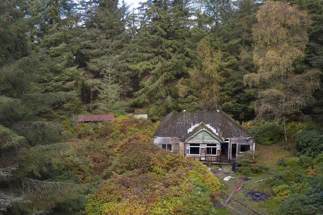 The Woodland Trust Scotland is calling for plans from Kirsty Young and her husband to knock down existing structures and erect new holiday accommodation to be rejected, due to loss of 'irreplaceable' ancient forest