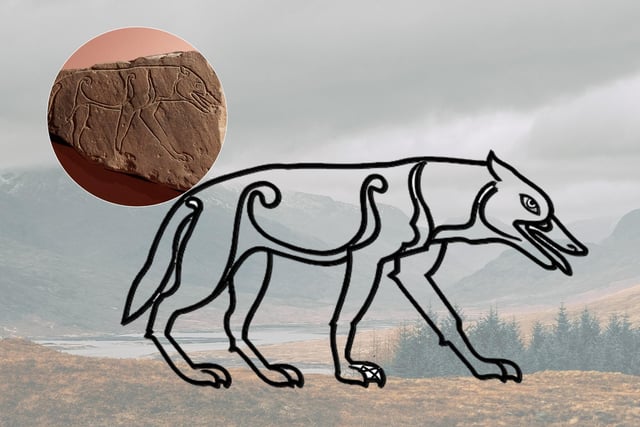 Found in Ardross, Ross-shire, this carving is now a popular exhibit at the Inverness Museum. It is not clear if the wolf held any particular meaning. Picts were associated with paganism and so perhaps animals like wolves were seen as totems who offered protection. Another theory suggests that the Pictish people simply identified with them by virtue of their nature i.e., for being keen hunters, fierce and protective of their pack.