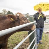 First Minister of Scotland and leader of the SNP Nicola Sturgeon (right), with Edinburgh Central candidate Angus Robertson, feeds the cows during a visit to LOVE Gorgie Farm on May 4  (Photo by Jane Barlow - Pool/Getty Images).