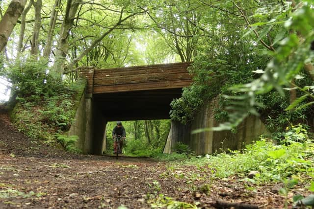 The former railway line in Culzean Country Park. Picture: Markus Stitz