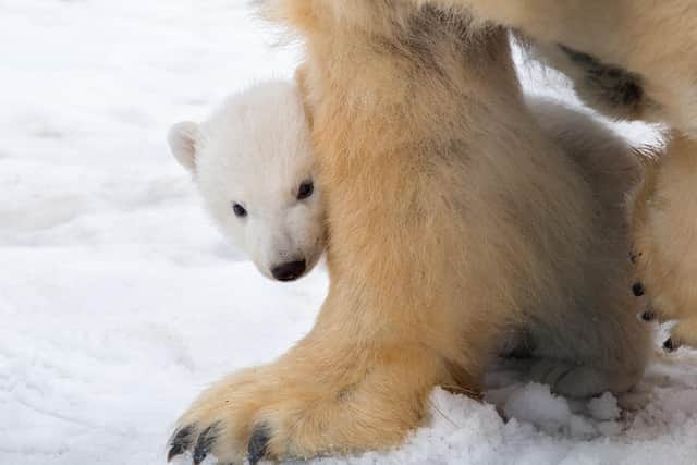 The report notes renewed calls for finance that works for people and the planet. Picture: contributed.