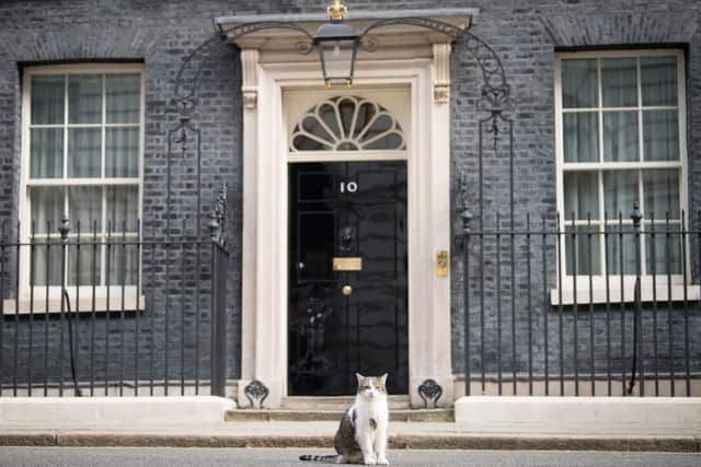 Larry the cat sits outside 10 Downing Street, London. Picture: Stefan Rousseau/PA Wire