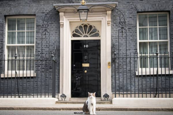 Larry the cat sits outside 10 Downing Street, London. Picture: Stefan Rousseau/PA Wire