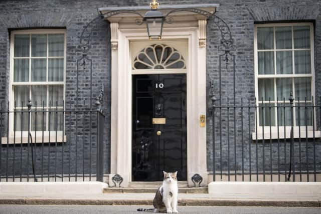 Larry the cat sits outside 10 Downing Street, London. Picture: Stefan Rousseau/PA Wire