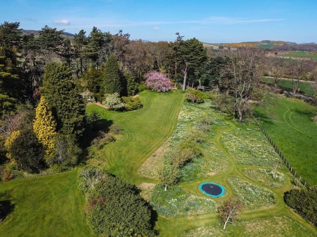 Garden.