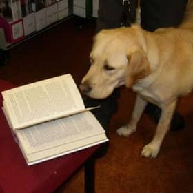 You will soon be able to take your dog to Strichen Library.