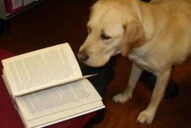You will soon be able to take your dog to Strichen Library.