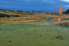 The badly-damaged third green at Prestwick St Nicholas. Picture: Gareth Hardy