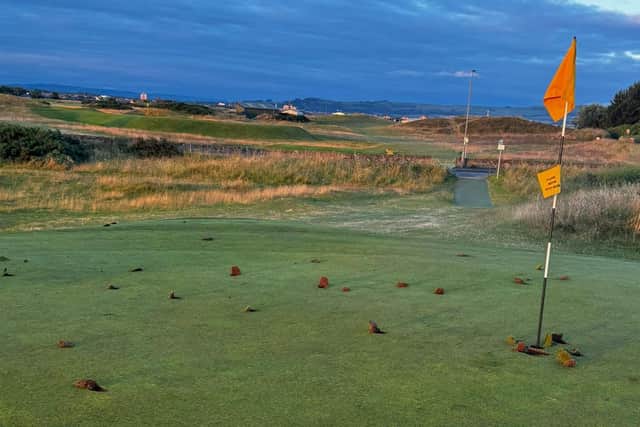 The badly-damaged third green at Prestwick St Nicholas. Picture: Gareth Hardy