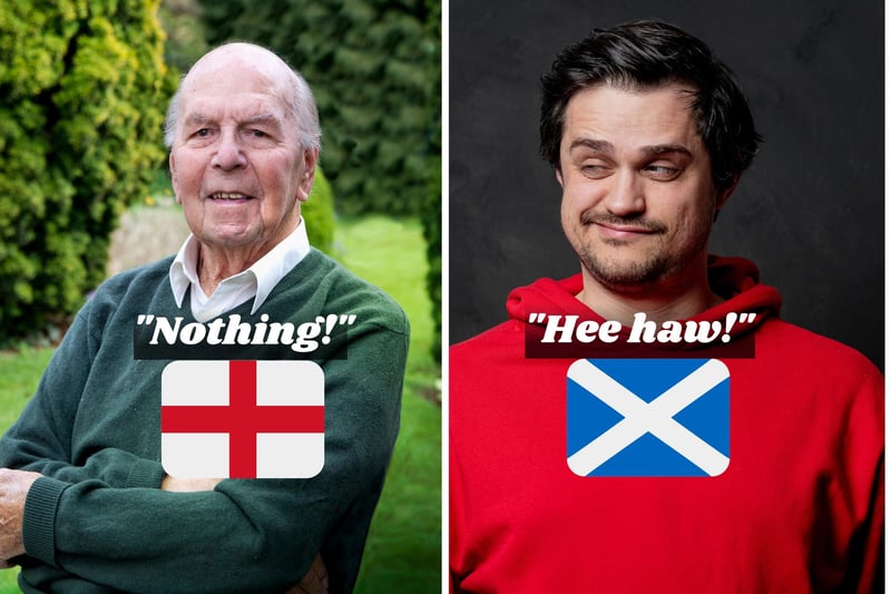 Often utilised by your Scottish parents like “you’ll get sweet hee haw if yer bad”, ‘hee haw’ is simply the Scots way of saying “nothing”.