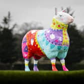 Wool you believe it – the Royal Highland Show will be a shear delight this summer