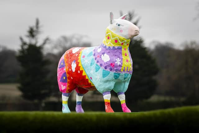 Wool you believe it – the Royal Highland Show will be a shear delight this summer