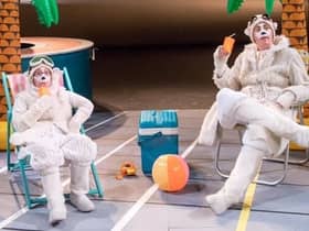 Polar bears on the beach - it's all part of this fantastic fringe festival. Photo: Craig Sugden