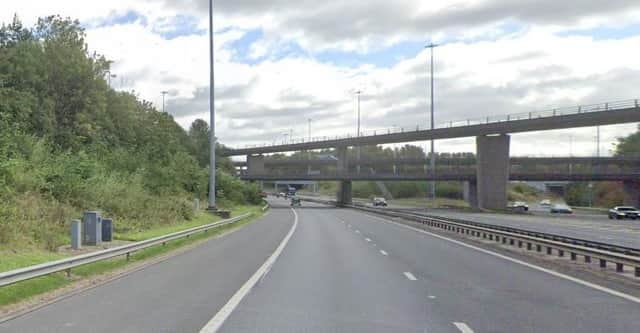 The female pedestrian was struck on the M8