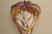 The Cruel Plant, which traps moths and butterflies to maximise pollination
