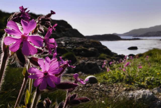 Investment in biodiversity must be embedded at the heart of Scottish government’s approach to climate and well-being (Picture: Danny Lawson/PA)