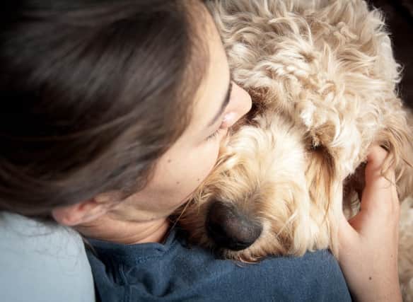 Dogs are perfect companions for people with autism.