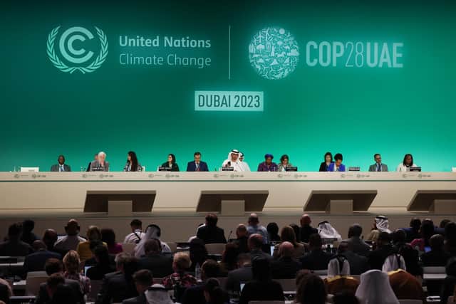 The COP28 climate change summit represents 28 years of failure to address global warming (Picture: Sean Gallup/Getty Images)