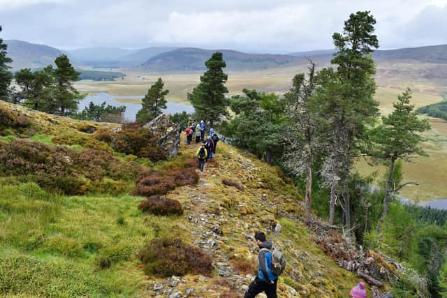 Badenoch Cairngorms – where to find big adventures when you only have little time, in the heart of Scotland