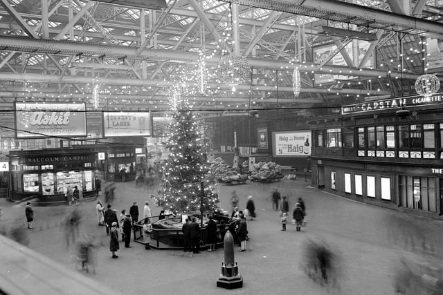 The Christmas tree in Central Station in Glasgow, December 1965.