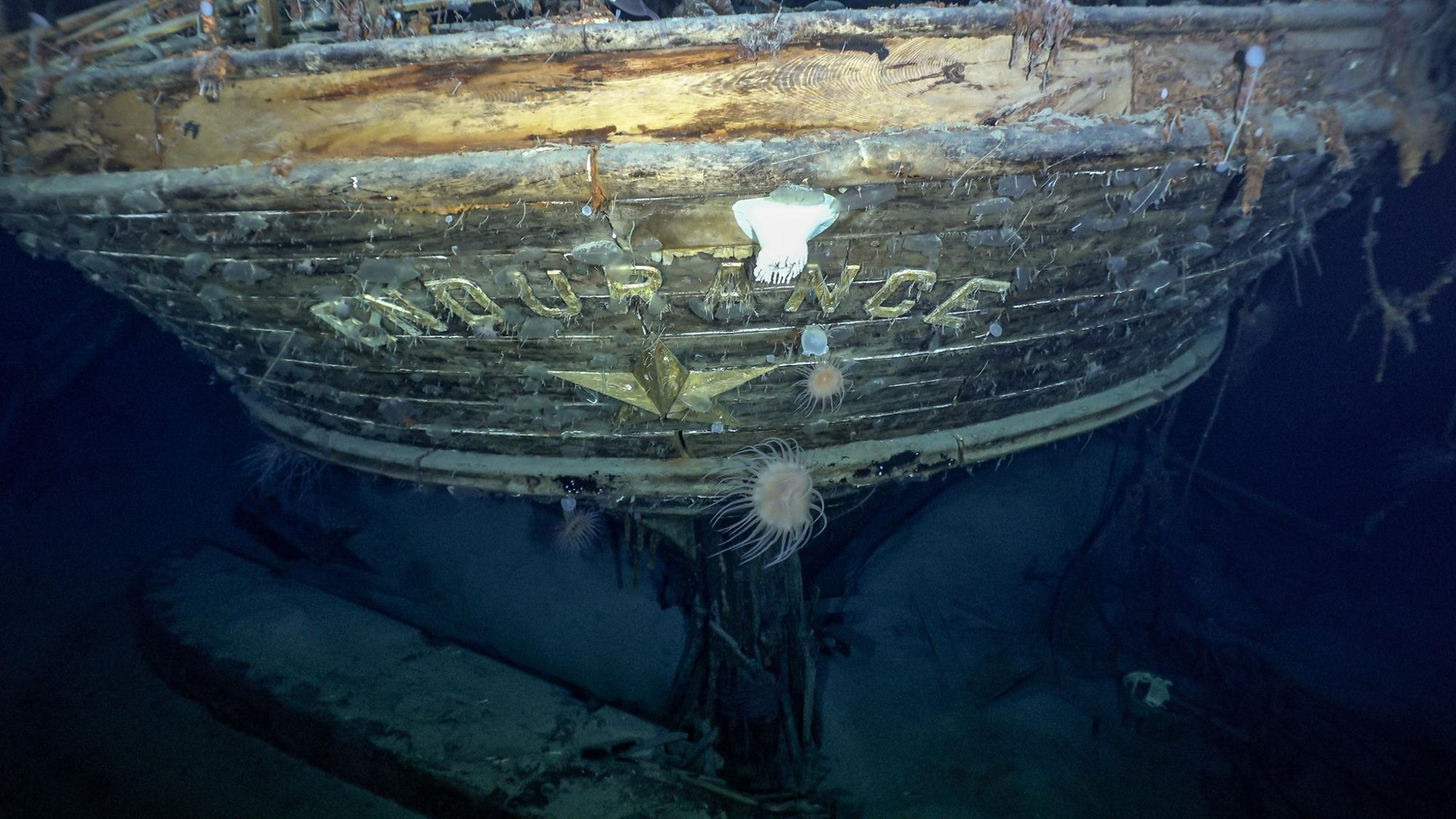 Found after 107 years - Shackleton's lost ship Endurance discovered sunk in Antarctica