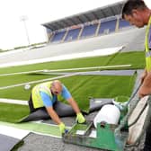 Plastic pitches have been laid at 17 SPFL venues including Falkirk (above).