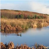 St Fittick’s Park is the last public green space serving the community of Torry