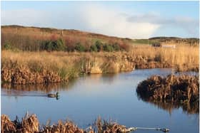 St Fittick’s Park is the last public green space serving the community of Torry