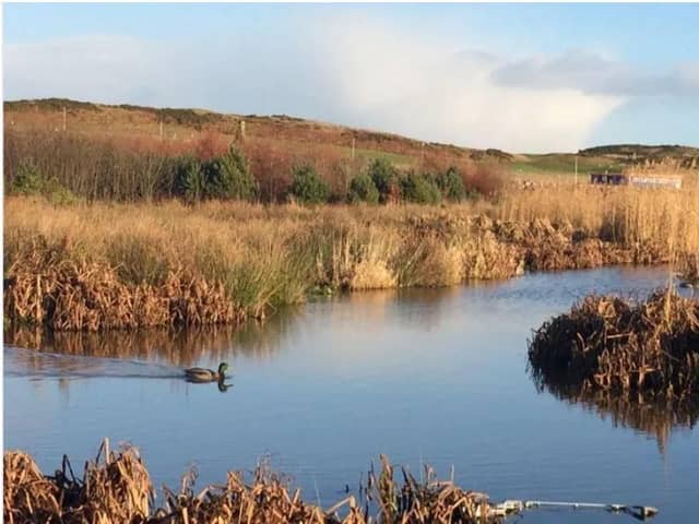 St Fittick’s Park is the last public green space serving the community of Torry