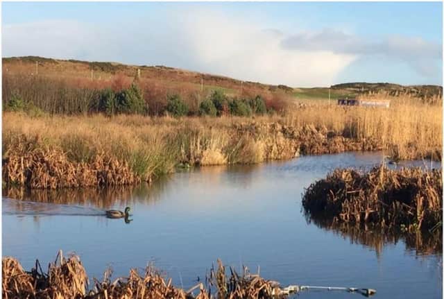St Fittick’s Park is the last public green space serving the community of Torry
