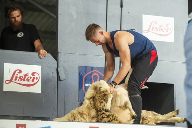 A competitor takes part in the sheep shearing championships at the Royal Highland Show. The event was disrupted on Saturday by a protest from campaign group Animal Rising. Picture: Lisa Ferguson