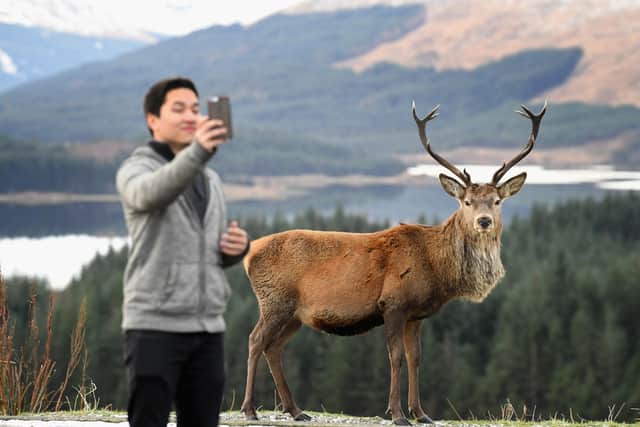 Tourism is one of Scotland's most important economic sectors (Picture: Jeff J Mitchell/Getty Images)