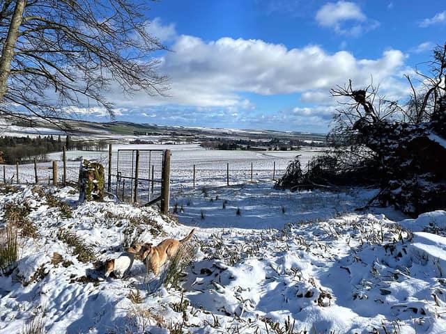 A cold snap is on its way