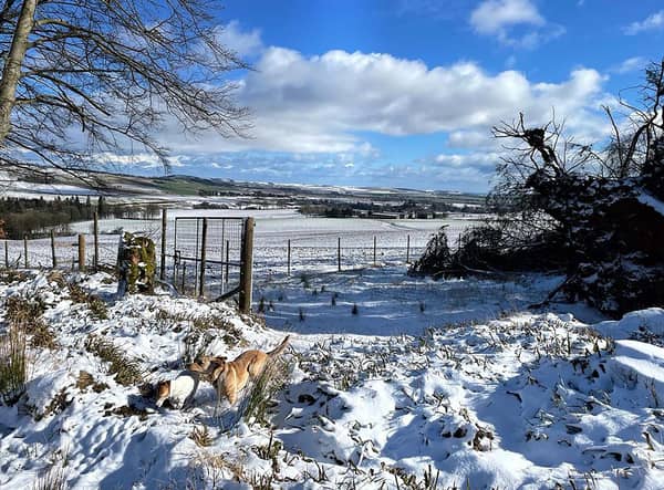A cold snap is on its way