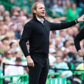 Hearts boss Robbie Neilson. (Photo by Craig Williamson / SNS Group)