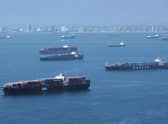 Giant container ships transport goods all over the world (Picture: David McNew/Getty Images)