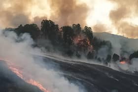 Firefighters battling a giant wildfire which broke out near Cannich in the Highlands in May last year (pic: FLS)